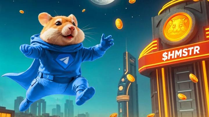 Hamster Kombat 101: How to Set Up a Safe and Fun Battle Arena for Your Hamster